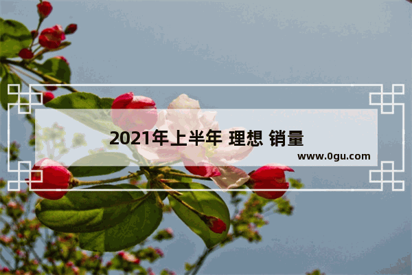 2021年上半年 理想 销量