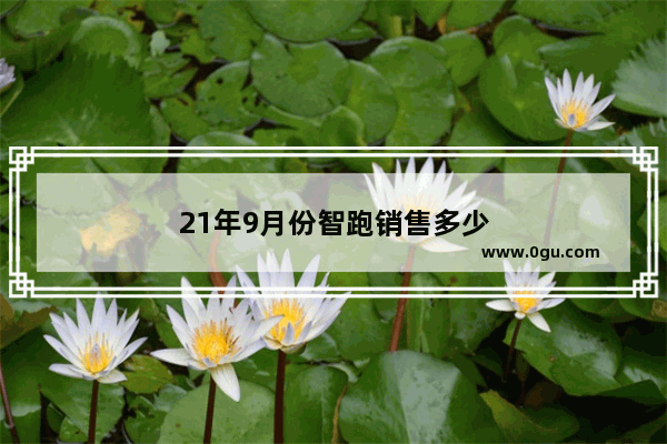 21年9月份智跑销售多少