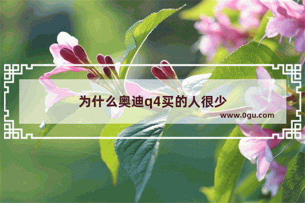 为什么奥迪q4买的人很少