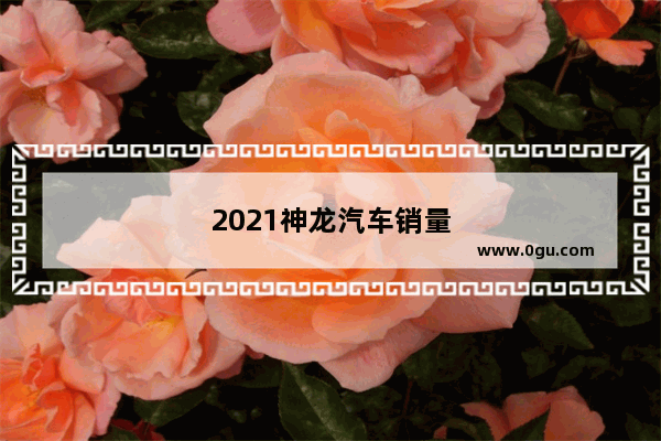 2021神龙汽车销量