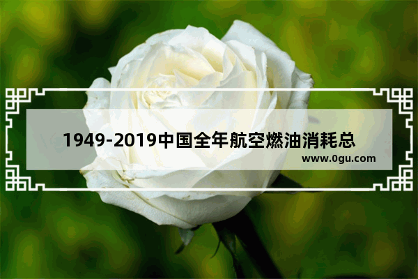 1949-2019中国全年航空燃油消耗总量