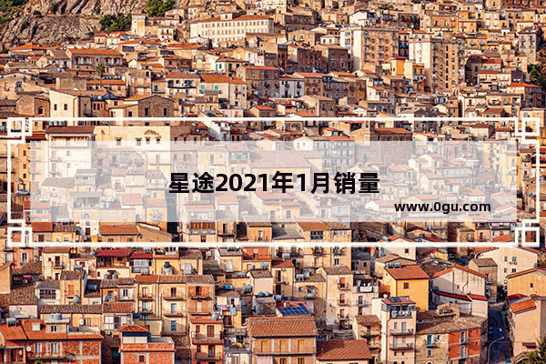 星途2021年1月销量