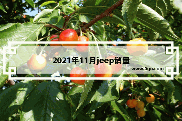 2021年11月jeep销量