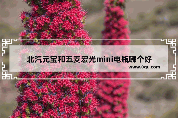 北汽元宝和五菱宏光mini电瓶哪个好