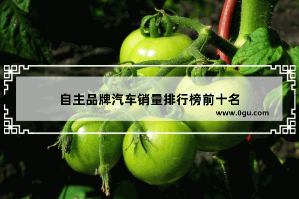 自主品牌汽车销量排行榜前十名