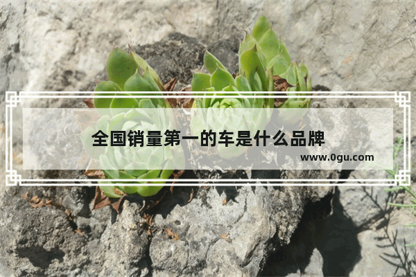 全国销量第一的车是什么品牌