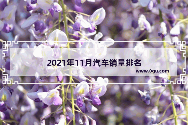 2021年11月汽车销量排名
