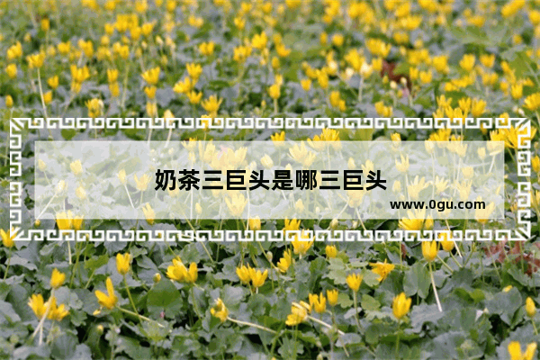 奶茶三巨头是哪三巨头