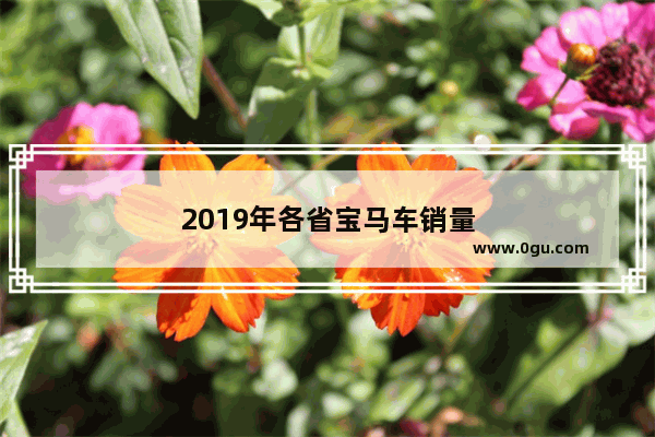 2019年各省宝马车销量