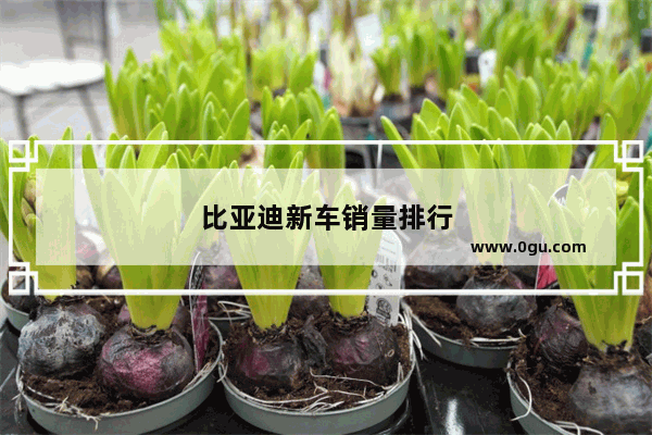 比亚迪新车销量排行