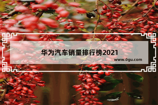 华为汽车销量排行榜2021