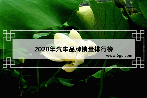 2020年汽车品牌销量排行榜