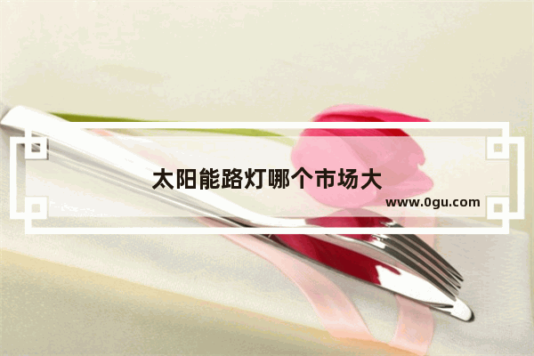 太阳能路灯哪个市场大