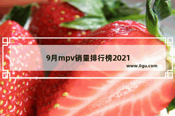9月mpv销量排行榜2021
