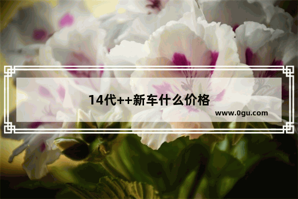 14代++新车什么价格
