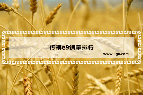 传祺e9销量排行