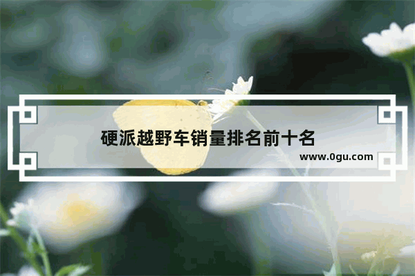 硬派越野车销量排名前十名