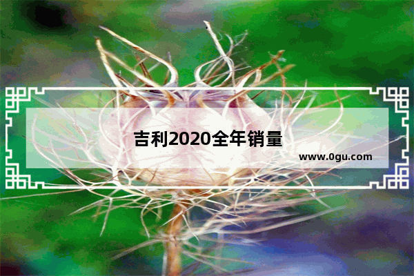 吉利2020全年销量