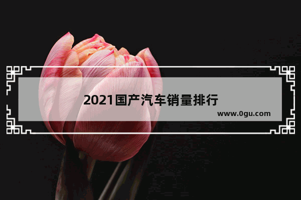 2021国产汽车销量排行