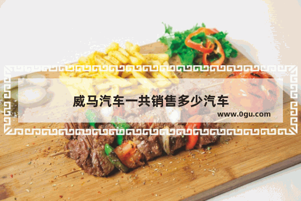 威马汽车一共销售多少汽车