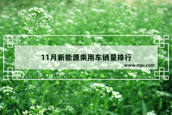 11月新能源乘用车销量排行