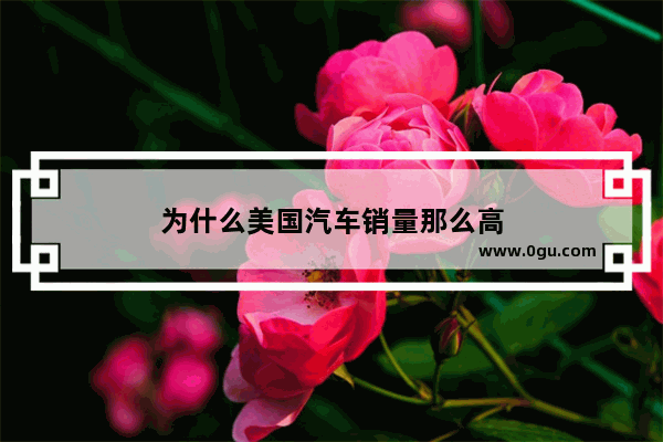 为什么美国汽车销量那么高