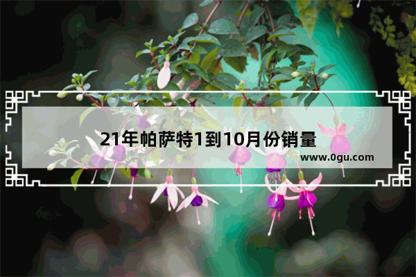21年帕萨特1到10月份销量