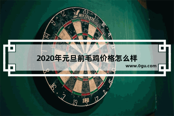 2020年元旦前毛鸡价格怎么样