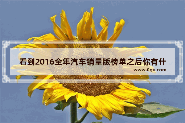 看到2016全年汽车销量版榜单之后你有什么想说的