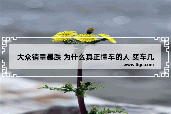 大众销量暴跌 为什么真正懂车的人 买车几乎不考虑大众