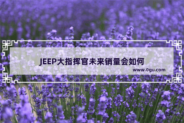 JEEP大指挥官未来销量会如何