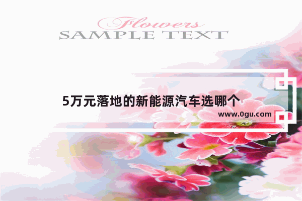 5万元落地的新能源汽车选哪个