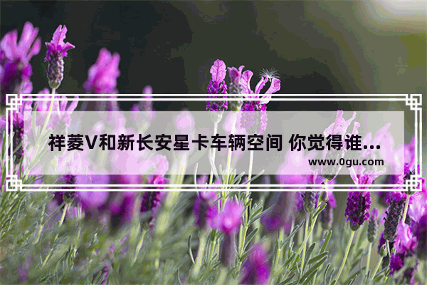 祥菱V和新长安星卡车辆空间 你觉得谁更大啊