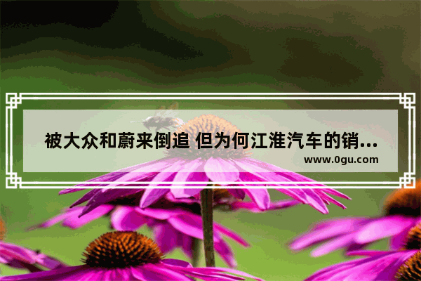 被大众和蔚来倒追 但为何江淮汽车的销量利润下滑了