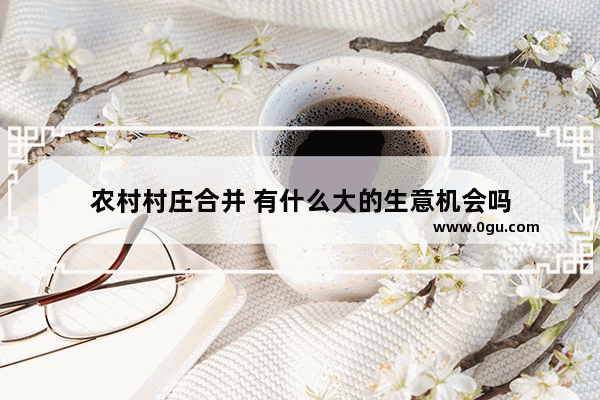 农村村庄合并 有什么大的生意机会吗