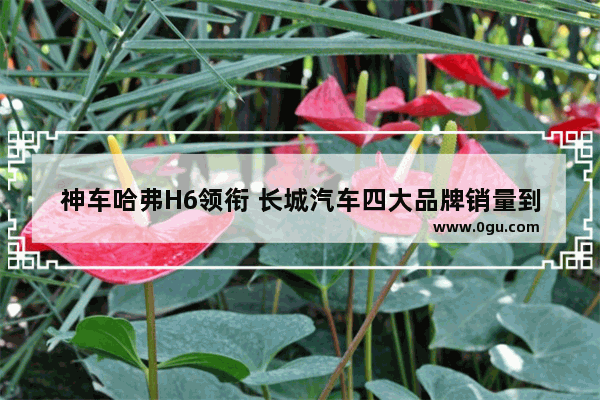 神车哈弗H6领衔 长城汽车四大品牌销量到底如何