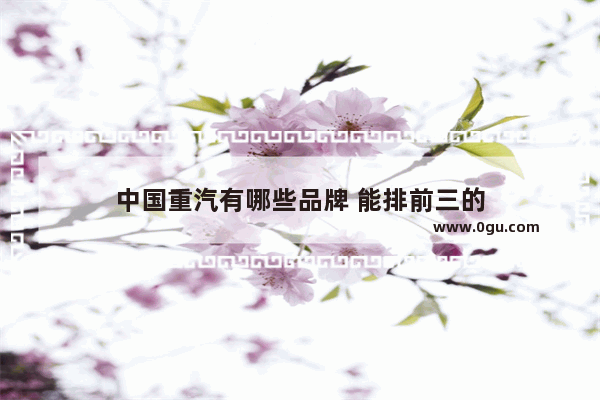 中国重汽有哪些品牌 能排前三的