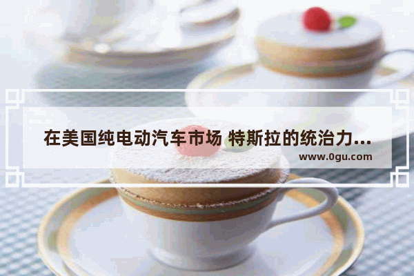 在美国纯电动汽车市场 特斯拉的统治力有多强