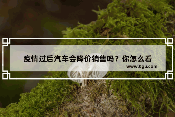 疫情过后汽车会降价销售吗？你怎么看