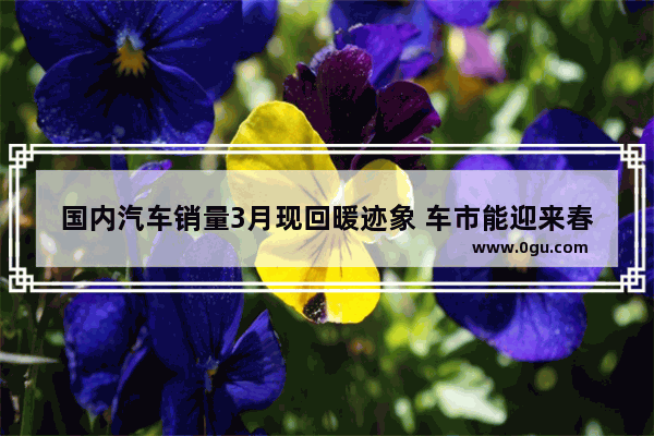 国内汽车销量3月现回暖迹象 车市能迎来春天吗