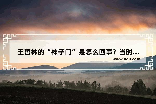 王哲林的“袜子门”是怎么回事？当时是什么情况