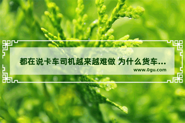 都在说卡车司机越来越难做 为什么货车销量却创新高 到底是谁在买车