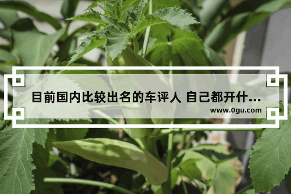 目前国内比较出名的车评人 自己都开什么车