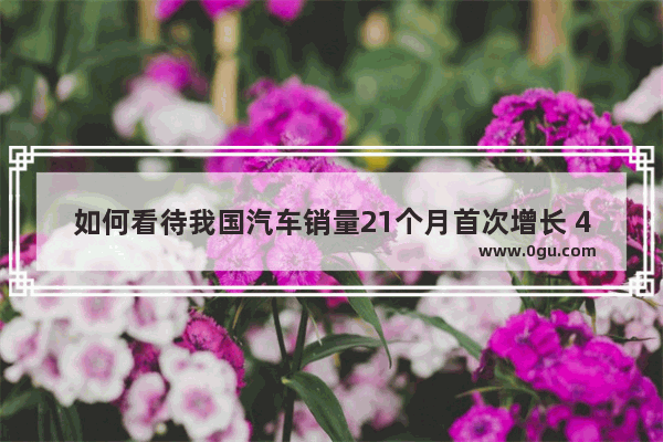 如何看待我国汽车销量21个月首次增长 4月销量207万辆 同比增长4.4%
