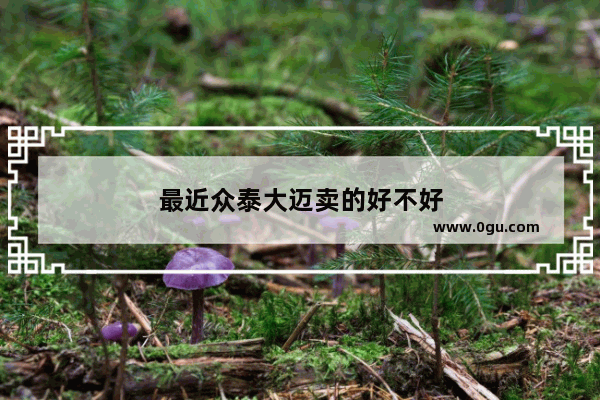 最近众泰大迈卖的好不好