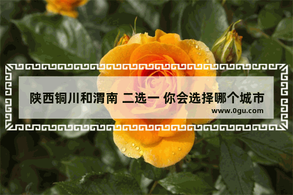 陕西铜川和渭南 二选一 你会选择哪个城市定居生活