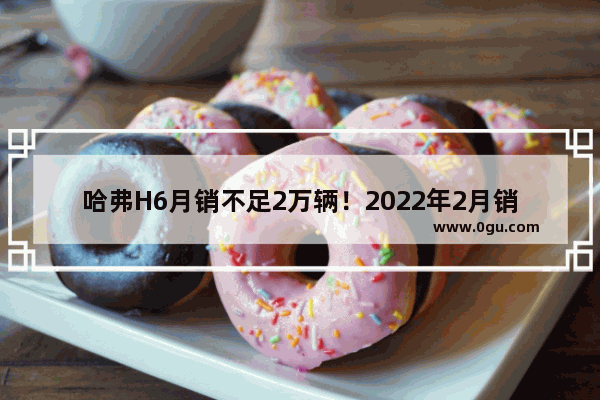 哈弗H6月销不足2万辆！2022年2月销量最大的十五款SUV都有谁