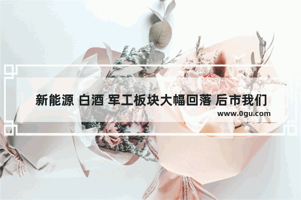 新能源 白酒 军工板块大幅回落 后市我们应该怎么做