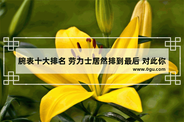 腕表十大排名 劳力士居然排到最后 对此你有什么看法