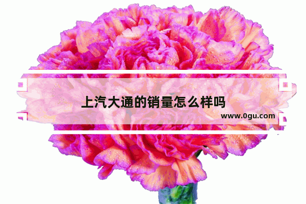 上汽大通的销量怎么样吗